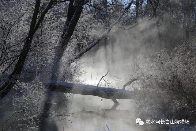 金庸群侠传