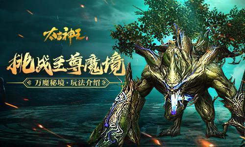 温州市鹿城区召开岁末年初危化企业安全生产工作例会暨危化领域百日攻坚专项行动推进会