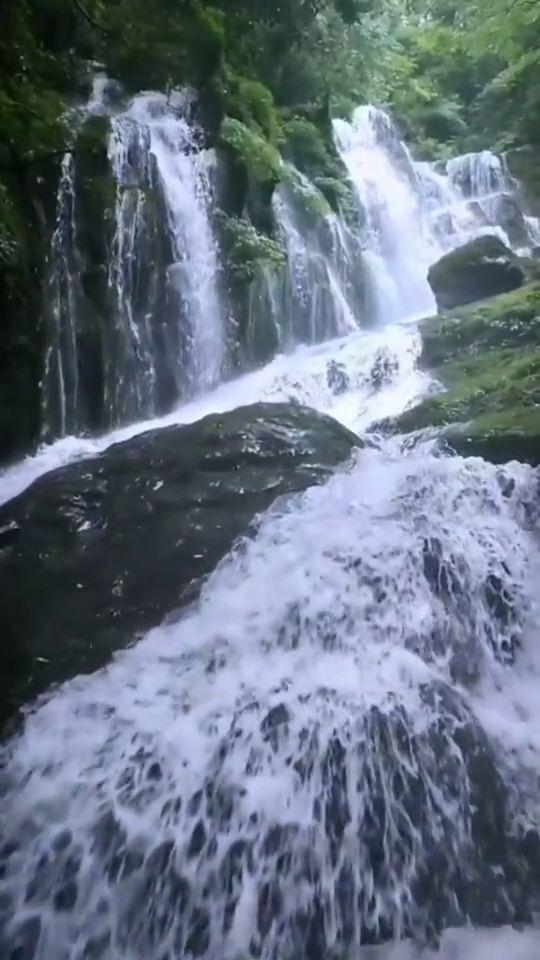 憨豆先生找小熊