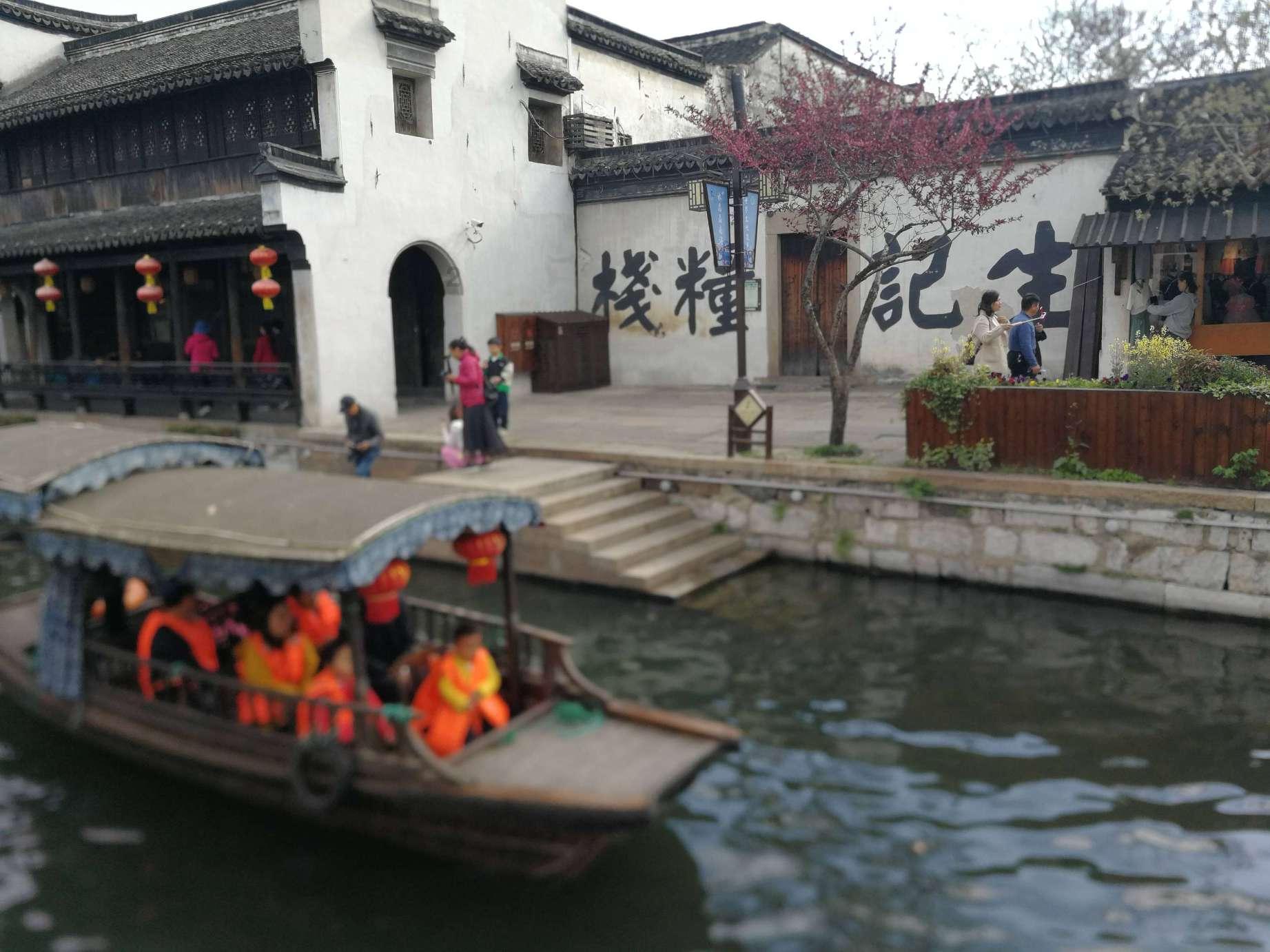 爱吃叶子的毛毛虫